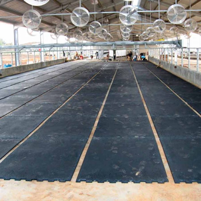 Suelo de goma Interlock de ANIMAT (Pasillos, salas de espera y ordeño) - Imagen 3