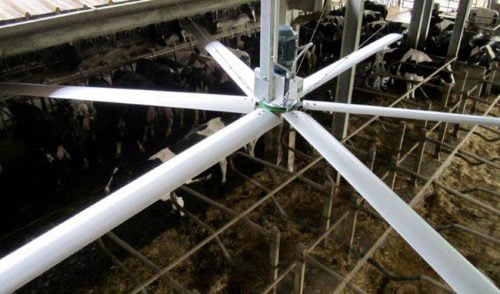 Ventilador BIGFAN Arienti