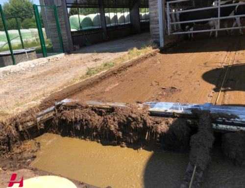 Instalación de las arrobaderas en Lycée Agricole de Pau-Montardon