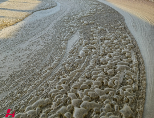 ¿Cómo se generan las emisiones de metano en ganaderías de vacuno de leche?