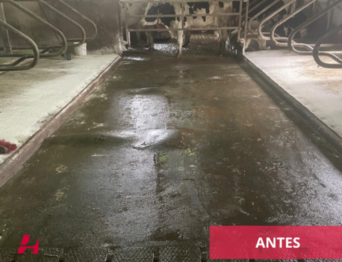 ¡Instalación de suelo de goma Animat!